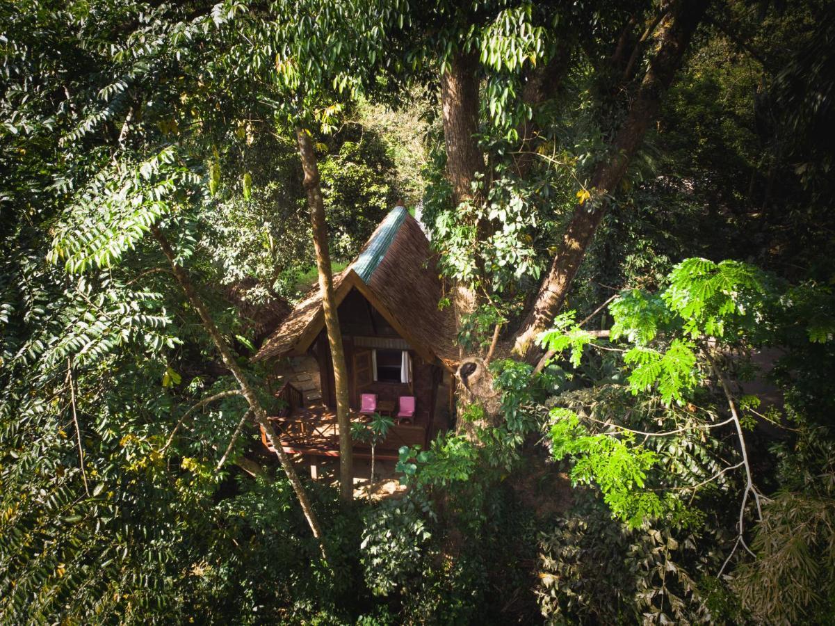 Hotel Our Jungle House Khao Sok National Park Esterno foto
