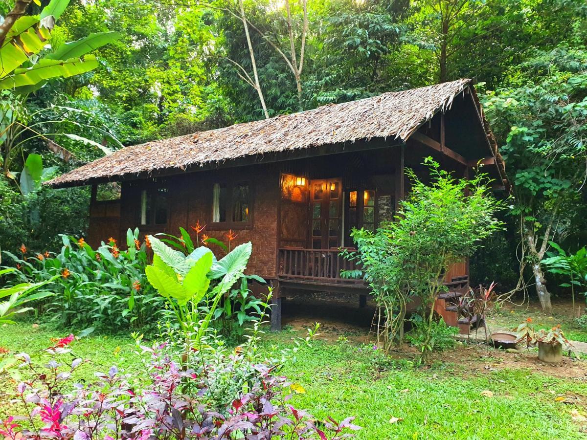 Hotel Our Jungle House Khao Sok National Park Esterno foto