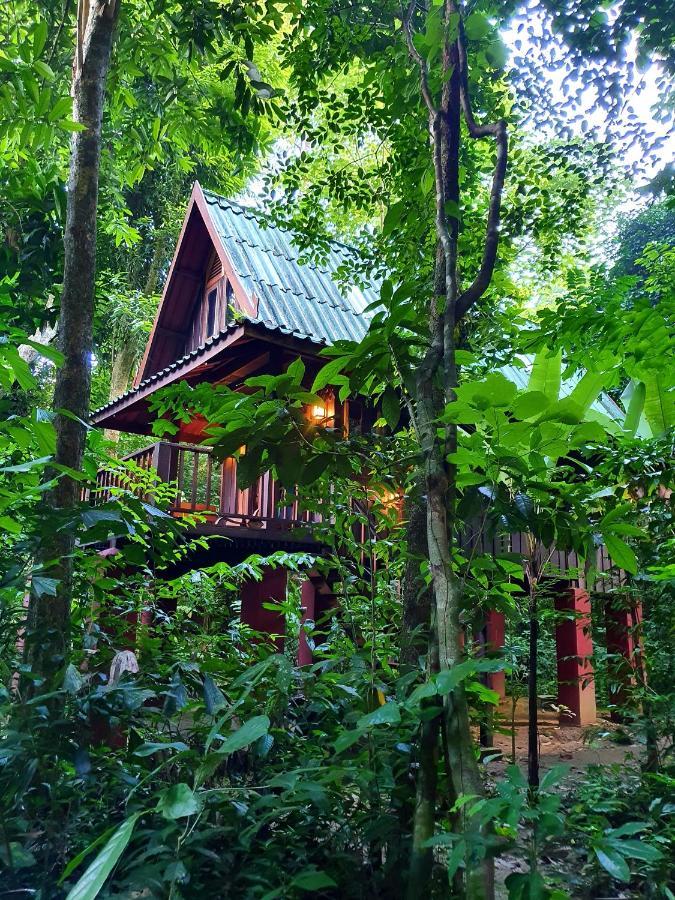 Hotel Our Jungle House Khao Sok National Park Esterno foto