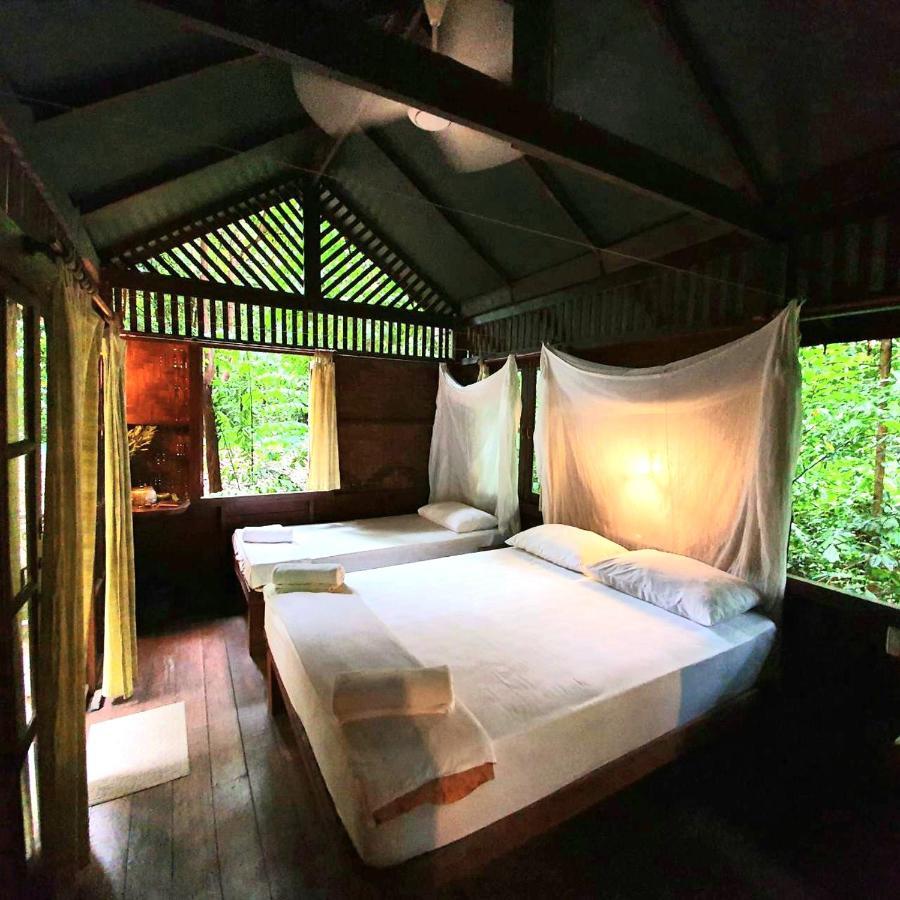 Hotel Our Jungle House Khao Sok National Park Esterno foto