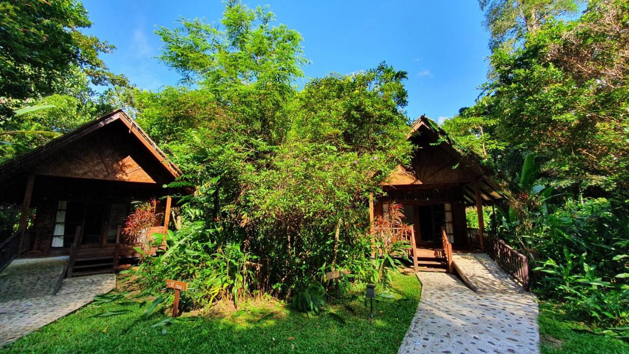 Hotel Our Jungle House Khao Sok National Park Esterno foto